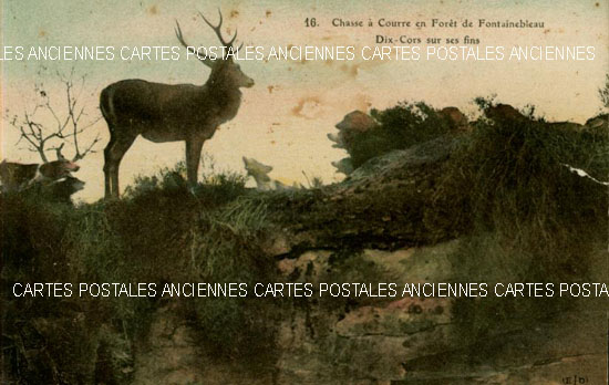 Cartes postales anciennes > CARTES POSTALES > carte postale ancienne > cartes-postales-ancienne.com Ile de france Seine et marne Fontainebleau