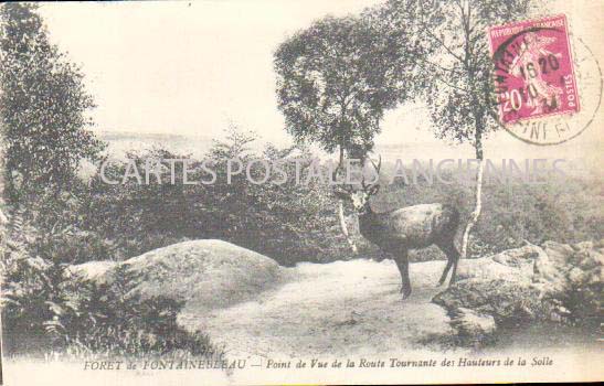 Cartes postales anciennes > CARTES POSTALES > carte postale ancienne > cartes-postales-ancienne.com Ile de france Seine et marne Fontainebleau