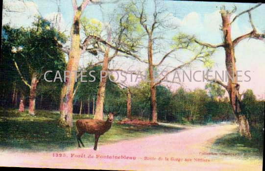 Cartes postales anciennes > CARTES POSTALES > carte postale ancienne > cartes-postales-ancienne.com Ile de france Seine et marne Fontainebleau