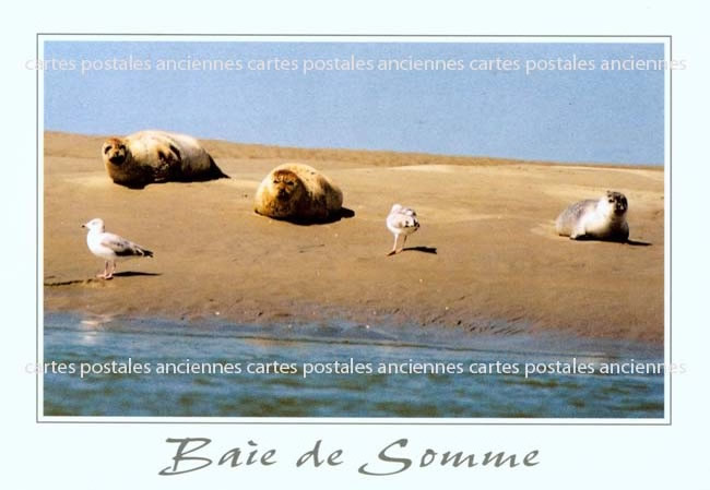 Cartes postales anciennes > CARTES POSTALES > carte postale ancienne > cartes-postales-ancienne.com Hauts de france Somme