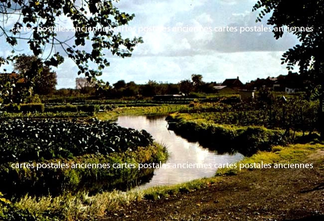 Cartes postales anciennes > CARTES POSTALES > carte postale ancienne > cartes-postales-ancienne.com Hauts de france Somme