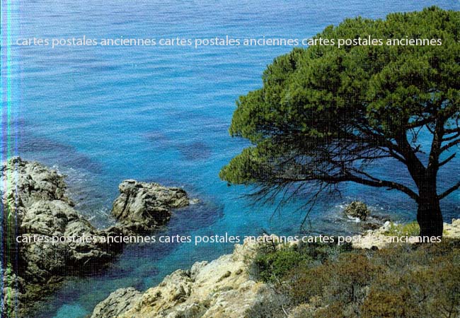 Cartes postales anciennes > CARTES POSTALES > carte postale ancienne > cartes-postales-ancienne.com Provence alpes cote d'azur Var