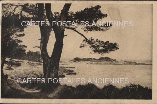 Cartes postales anciennes > CARTES POSTALES > carte postale ancienne > cartes-postales-ancienne.com Provence alpes cote d'azur Var Porquerolles