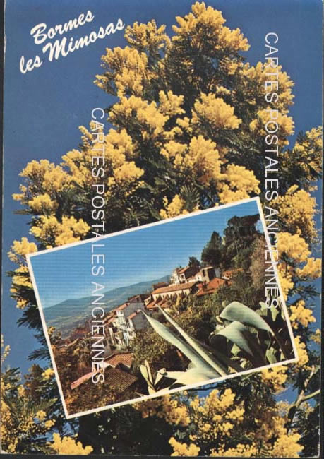 Cartes postales anciennes > CARTES POSTALES > carte postale ancienne > cartes-postales-ancienne.com Provence alpes cote d'azur Var Bormes Les Mimosas