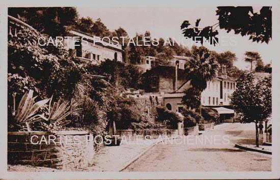 Cartes postales anciennes > CARTES POSTALES > carte postale ancienne > cartes-postales-ancienne.com Provence alpes cote d'azur Var Bormes Les Mimosas