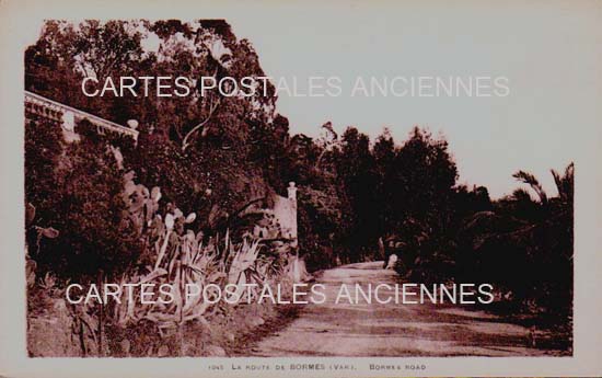 Cartes postales anciennes > CARTES POSTALES > carte postale ancienne > cartes-postales-ancienne.com Provence alpes cote d'azur Var Bormes Les Mimosas