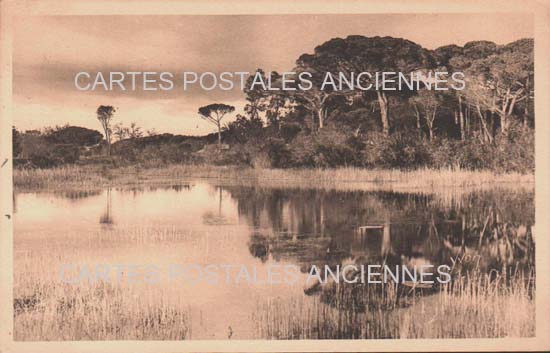 Cartes postales anciennes > CARTES POSTALES > carte postale ancienne > cartes-postales-ancienne.com Provence alpes cote d'azur Var Hyeres