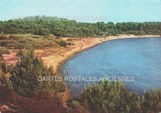 Cartes postales anciennes > CARTES POSTALES > carte postale ancienne > cartes-postales-ancienne.com Provence alpes cote d'azur Var Bormes Les Mimosas