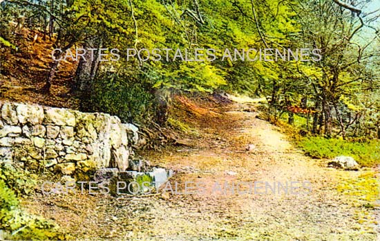 Cartes postales anciennes > CARTES POSTALES > carte postale ancienne > cartes-postales-ancienne.com Provence alpes cote d'azur Var Saint Maximin La Sainte Baume