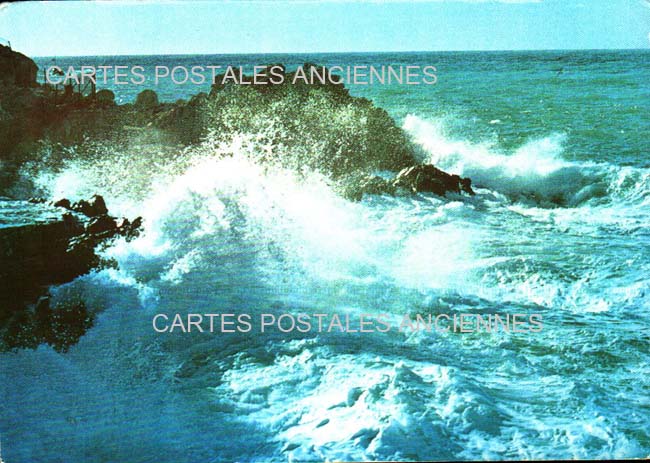 Cartes postales anciennes > CARTES POSTALES > carte postale ancienne > cartes-postales-ancienne.com Provence alpes cote d'azur Var Hyeres