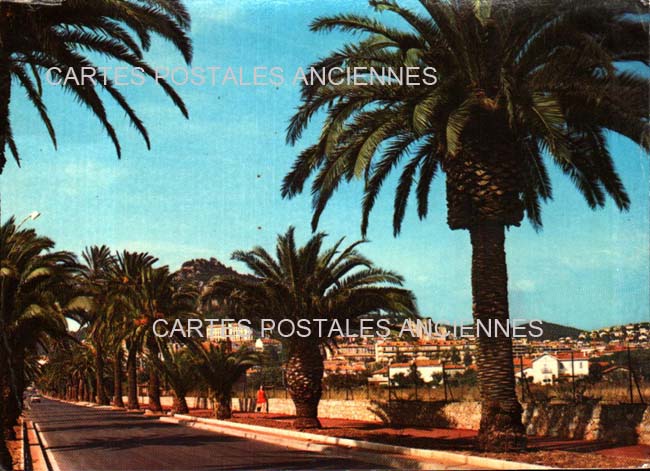 Cartes postales anciennes > CARTES POSTALES > carte postale ancienne > cartes-postales-ancienne.com Provence alpes cote d'azur Var Hyeres