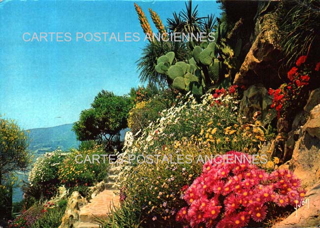 Cartes postales anciennes > CARTES POSTALES > carte postale ancienne > cartes-postales-ancienne.com Provence alpes cote d'azur Var Sainte Maxime