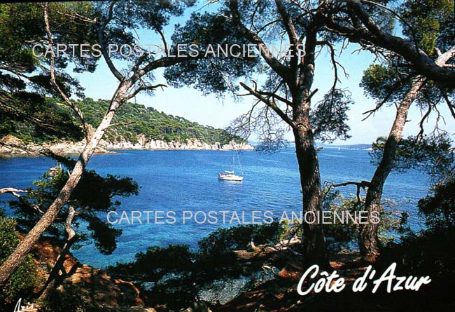 Cartes postales anciennes > CARTES POSTALES > carte postale ancienne > cartes-postales-ancienne.com Provence alpes cote d'azur Var Hyeres