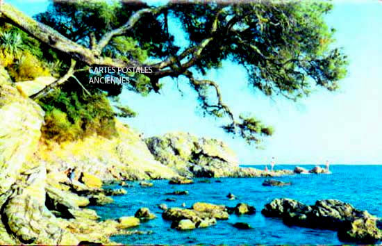 Cartes postales anciennes > CARTES POSTALES > carte postale ancienne > cartes-postales-ancienne.com Provence alpes cote d'azur Var Saint Aygulf