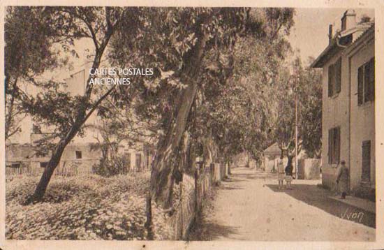 Cartes postales anciennes > CARTES POSTALES > carte postale ancienne > cartes-postales-ancienne.com Provence alpes cote d'azur Var Hyeres