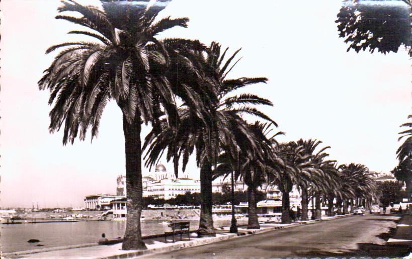 Cartes postales anciennes > CARTES POSTALES > carte postale ancienne > cartes-postales-ancienne.com Provence alpes cote d'azur Var Saint Raphael