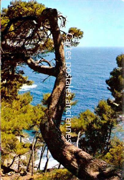 Cartes postales anciennes > CARTES POSTALES > carte postale ancienne > cartes-postales-ancienne.com Provence alpes cote d'azur Var Six Fours Les Plages