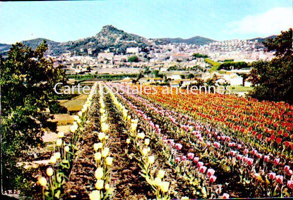 Cartes postales anciennes > CARTES POSTALES > carte postale ancienne > cartes-postales-ancienne.com Provence alpes cote d'azur Var Hyeres