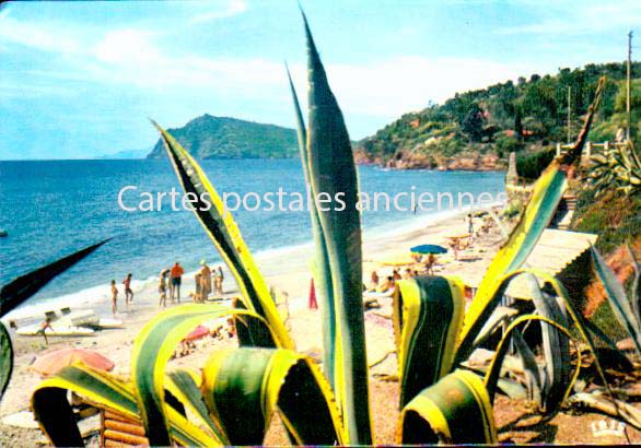 Cartes postales anciennes > CARTES POSTALES > carte postale ancienne > cartes-postales-ancienne.com Provence alpes cote d'azur Var Le Lavandou