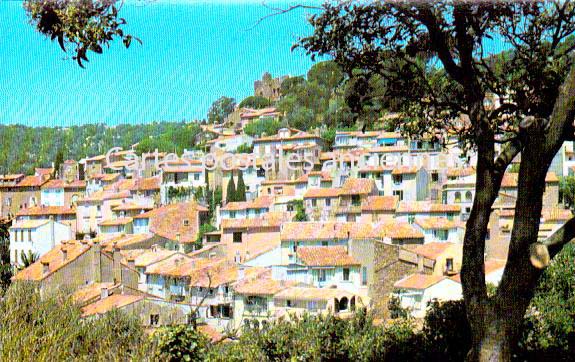 Cartes postales anciennes > CARTES POSTALES > carte postale ancienne > cartes-postales-ancienne.com Provence alpes cote d'azur Var Bormes Les Mimosas