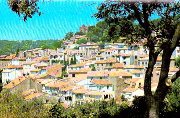 Cartes postales anciennes > CARTES POSTALES > carte postale ancienne > cartes-postales-ancienne.com Provence alpes cote d'azur Var Bormes Les Mimosas