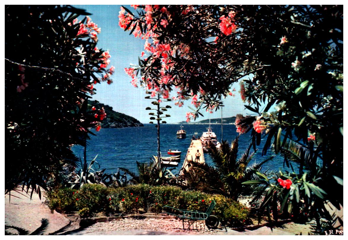 Cartes postales anciennes > CARTES POSTALES > carte postale ancienne > cartes-postales-ancienne.com Provence alpes cote d'azur Var Saint Raphael