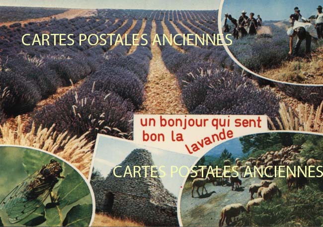 Cartes postales anciennes > CARTES POSTALES > carte postale ancienne > cartes-postales-ancienne.com Provence alpes cote d'azur Vaucluse Gordes