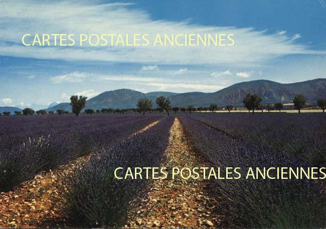 Cartes postales anciennes > CARTES POSTALES > carte postale ancienne > cartes-postales-ancienne.com Provence alpes cote d'azur Vaucluse Gordes