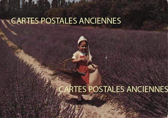 Cartes postales anciennes > CARTES POSTALES > carte postale ancienne > cartes-postales-ancienne.com Provence alpes cote d'azur Vaucluse Gordes