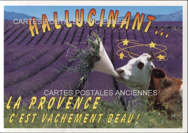 Cartes postales anciennes > CARTES POSTALES > carte postale ancienne > cartes-postales-ancienne.com Provence alpes cote d'azur Vaucluse Gordes