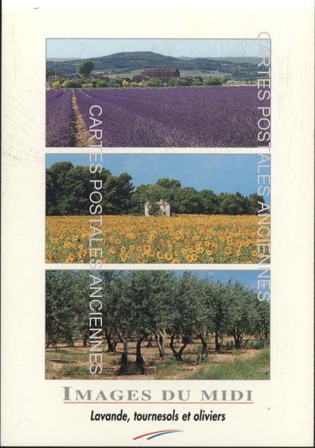 Cartes postales anciennes > CARTES POSTALES > carte postale ancienne > cartes-postales-ancienne.com Provence alpes cote d'azur Vaucluse Avignon