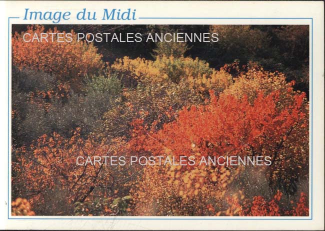 Cartes postales anciennes > CARTES POSTALES > carte postale ancienne > cartes-postales-ancienne.com Provence alpes cote d'azur Vaucluse Avignon