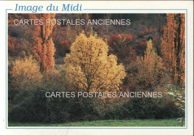 Cartes postales anciennes > CARTES POSTALES > carte postale ancienne > cartes-postales-ancienne.com Provence alpes cote d'azur Vaucluse Avignon