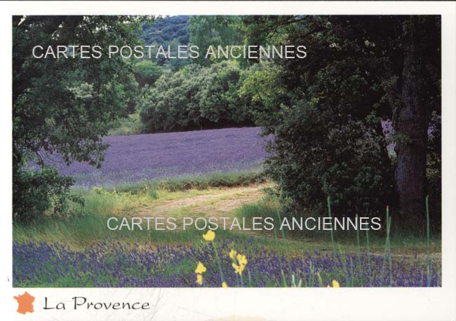 Cartes postales anciennes > CARTES POSTALES > carte postale ancienne > cartes-postales-ancienne.com Provence alpes cote d'azur Vaucluse Avignon