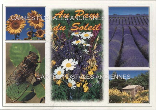 Cartes postales anciennes > CARTES POSTALES > carte postale ancienne > cartes-postales-ancienne.com Provence alpes cote d'azur Vaucluse Avignon