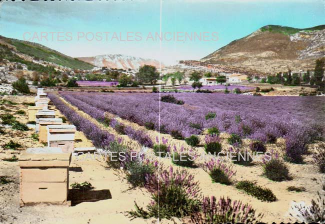 Cartes postales anciennes > CARTES POSTALES > carte postale ancienne > cartes-postales-ancienne.com Provence alpes cote d'azur Vaucluse Fontaine De Vaucluse