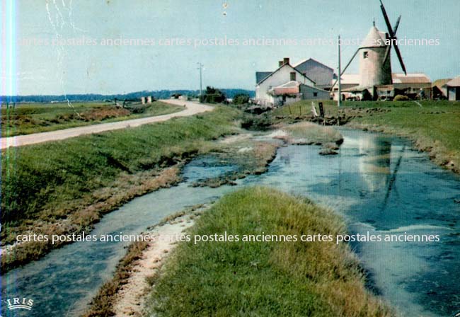 Cartes postales anciennes > CARTES POSTALES > carte postale ancienne > cartes-postales-ancienne.com Pays de la loire Vendee