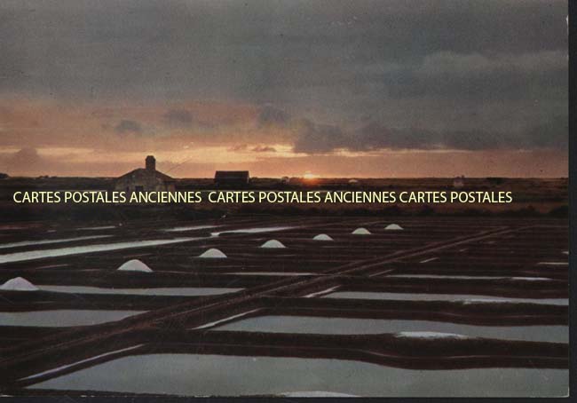 Cartes postales anciennes > CARTES POSTALES > carte postale ancienne > cartes-postales-ancienne.com Pays de la loire Vendee Noirmoutier-en-l'Ile