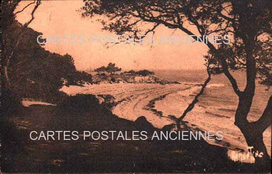 Cartes postales anciennes > CARTES POSTALES > carte postale ancienne > cartes-postales-ancienne.com Pays de la loire Vendee Noirmoutier-en-l'Ile