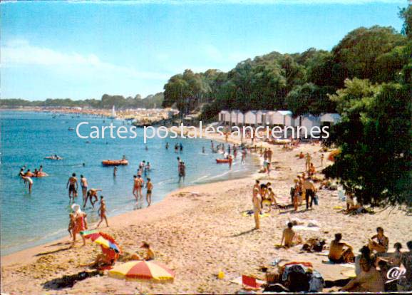 Cartes postales anciennes > CARTES POSTALES > carte postale ancienne > cartes-postales-ancienne.com Pays de la loire Vendee Noirmoutier-en-l'Ile