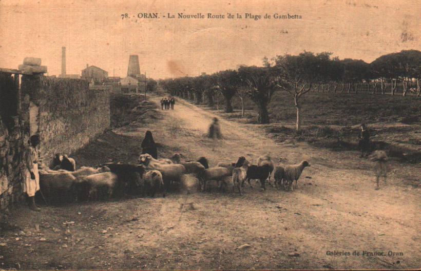 Cartes postales anciennes > CARTES POSTALES > carte postale ancienne > cartes-postales-ancienne.com Algerie