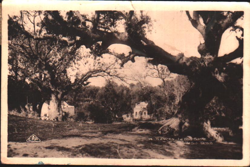 Cartes postales anciennes > CARTES POSTALES > carte postale ancienne > cartes-postales-ancienne.com