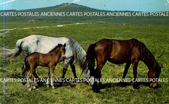 Cartes postales anciennes > CARTES POSTALES > carte postale ancienne > cartes-postales-ancienne.com Angleterre