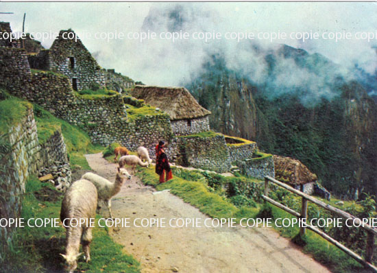 Cartes postales anciennes > CARTES POSTALES > carte postale ancienne > cartes-postales-ancienne.com Animaux