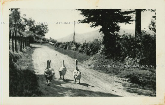 Cartes postales anciennes > CARTES POSTALES > carte postale ancienne > cartes-postales-ancienne.com