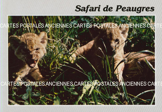 Cartes postales anciennes > CARTES POSTALES > carte postale ancienne > cartes-postales-ancienne.com