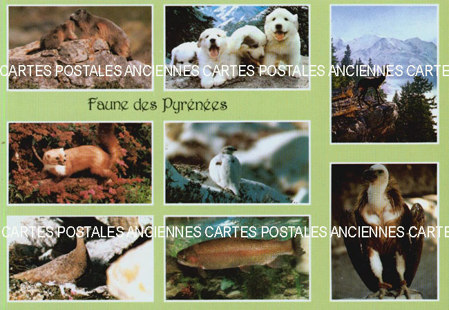 Cartes postales anciennes > CARTES POSTALES > carte postale ancienne > cartes-postales-ancienne.com