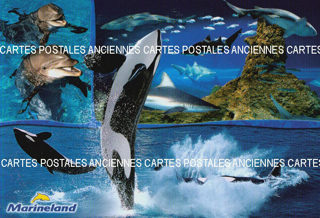 Cartes postales anciennes > CARTES POSTALES > carte postale ancienne > cartes-postales-ancienne.com