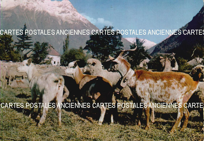 Cartes postales anciennes > CARTES POSTALES > carte postale ancienne > cartes-postales-ancienne.com