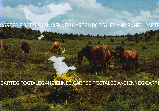 Cartes postales anciennes > CARTES POSTALES > carte postale ancienne > cartes-postales-ancienne.com